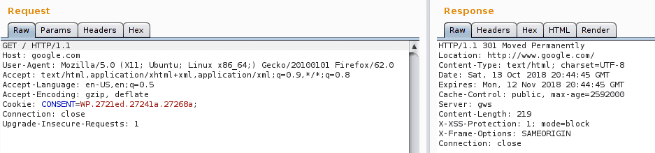 HTTP request and response for Google