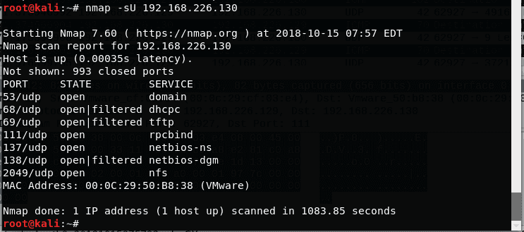 Online Port Scanner Powered by Nmap