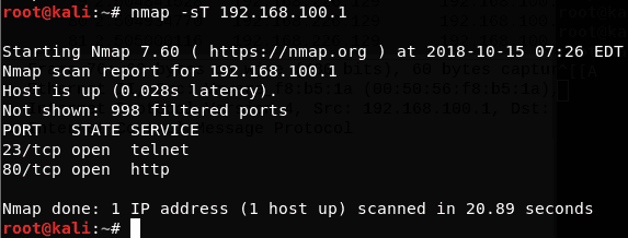 Online Port Scanner Powered by Nmap