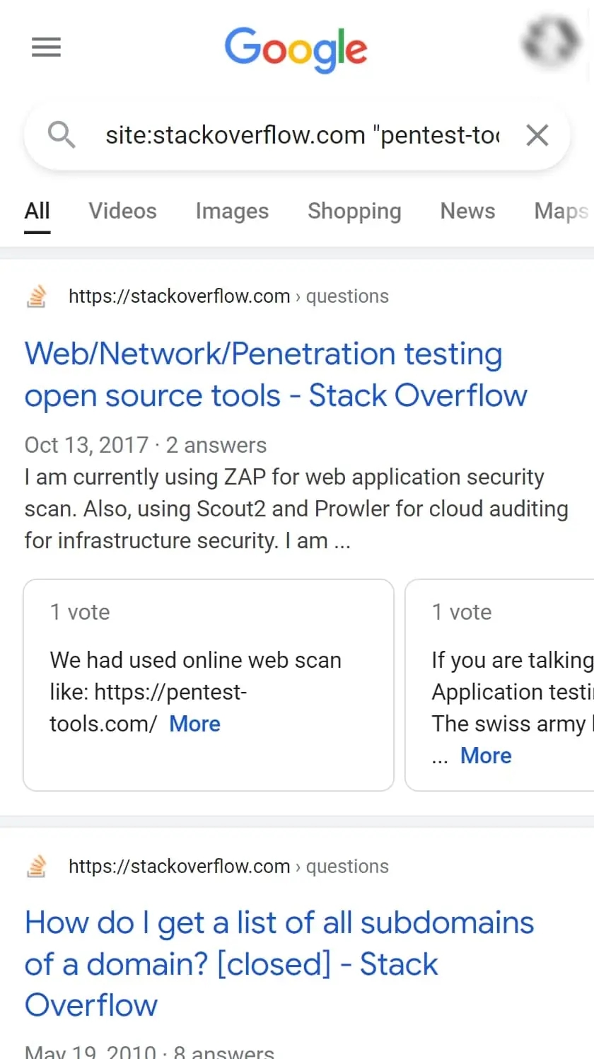 Pentest-Tools.com Google Hacking Report in SERP form