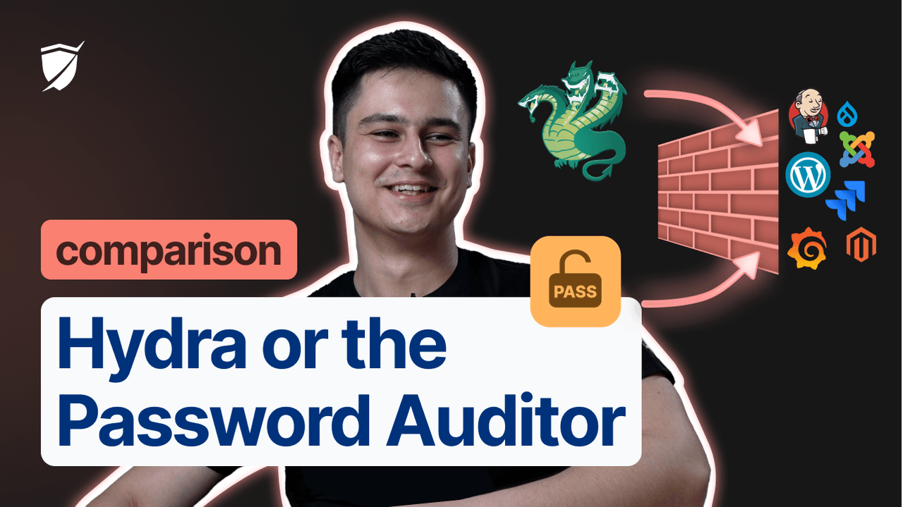 Hydra or the Password Auditor: the best tool for brute-force attacks ...