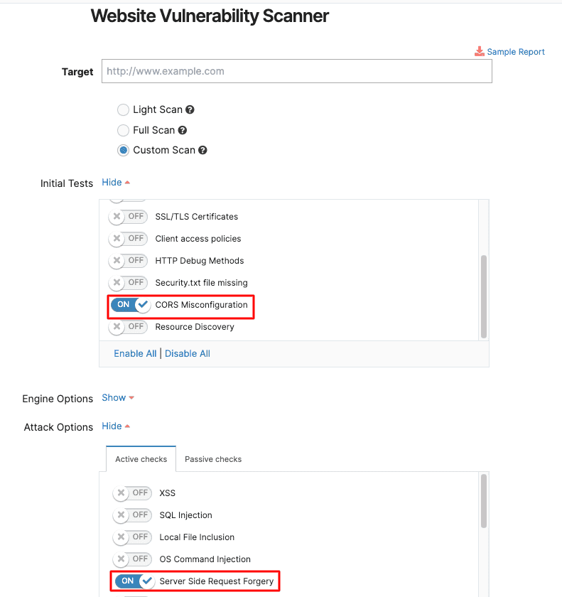 Website Scanner new attack options