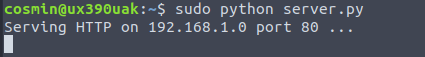 python web server running