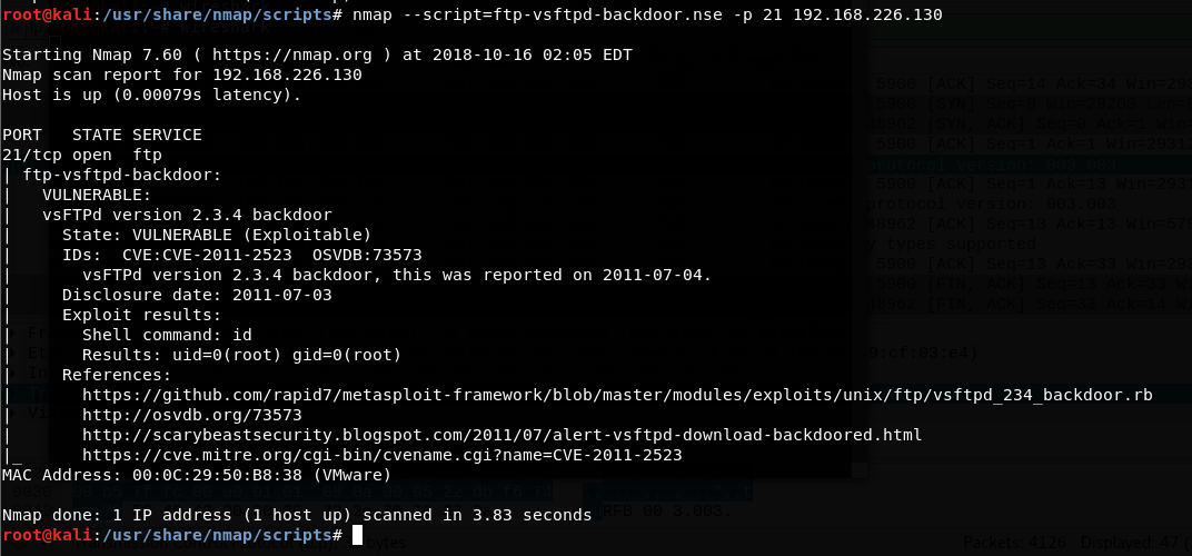 script checking for a backdoor in the VSFTPD server