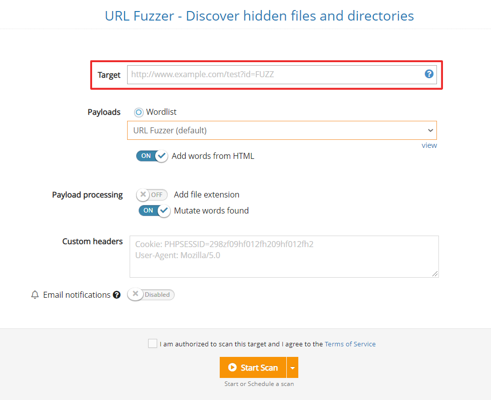 custom payloads with the URL Fuzzer