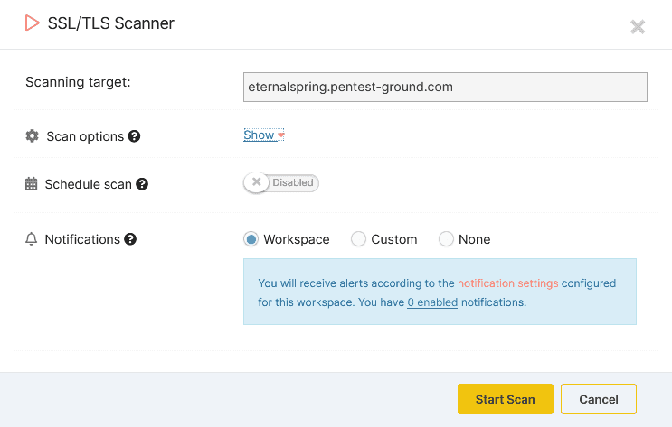 scan target with SSL/TLS Scanner